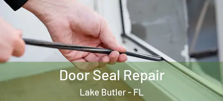  Door Seal Repair Lake Butler - FL