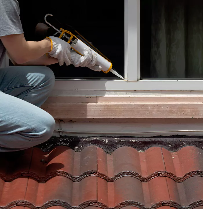 Roof Window Services in Lake Butler, Florida