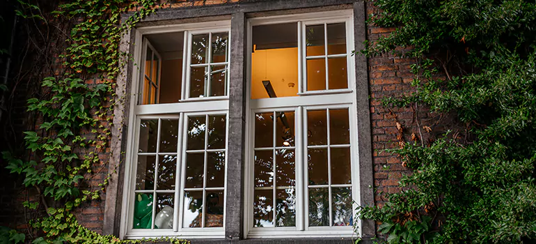 Energy Efficient Wood Windows in Lake Butler, FL