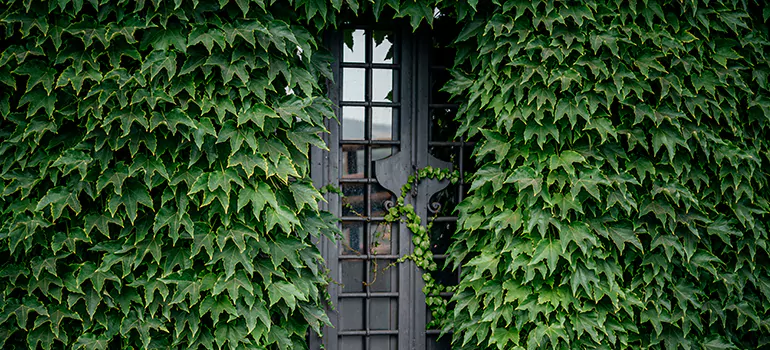 Garden Gate Repair in Lake Butler, FL