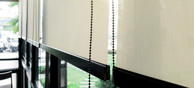 Blackout Window Shades in Lake Butler, FL