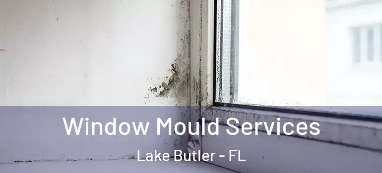  Window Mould Services Lake Butler - FL