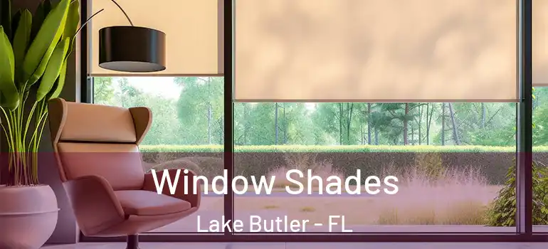  Window Shades Lake Butler - FL